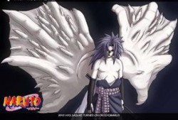 咒语佐助爆料视频,揭秘忍者世界神秘力量之谜